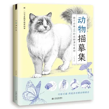 Альбом для рисования 100 видов животных, копия альбома с нулевым базовым курсом рисования.